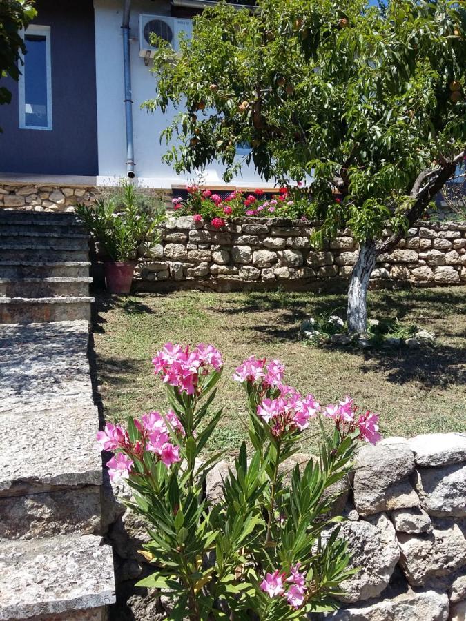 Villa Sunny Day St Constantin et Helena Extérieur photo